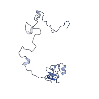 13191_7p48_J_v1-2
Staphylococcus aureus ribosome in complex with Sal(B)