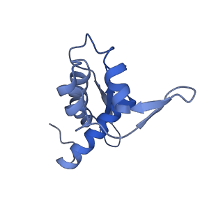 13191_7p48_L_v1-2
Staphylococcus aureus ribosome in complex with Sal(B)
