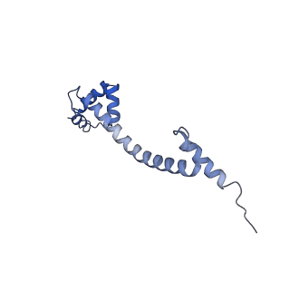 13191_7p48_O_v1-2
Staphylococcus aureus ribosome in complex with Sal(B)
