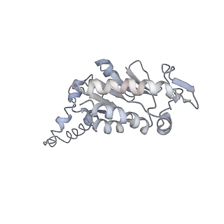 13191_7p48_b_v1-2
Staphylococcus aureus ribosome in complex with Sal(B)