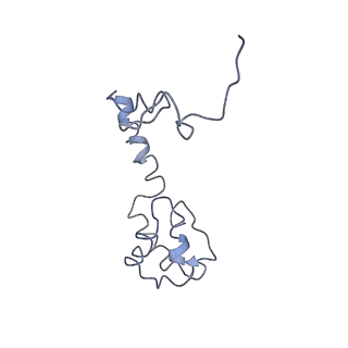 13191_7p48_m_v1-2
Staphylococcus aureus ribosome in complex with Sal(B)