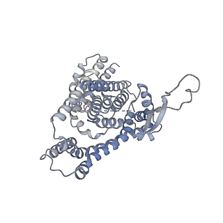 13193_7p4i_A_v1-0
Structure of human ASCT1 transporter