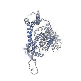13193_7p4i_B_v1-0
Structure of human ASCT1 transporter