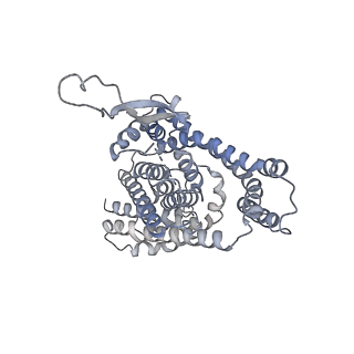 13193_7p4i_C_v1-0
Structure of human ASCT1 transporter