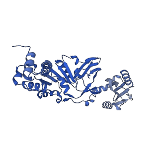 17402_8p49_A_v1-0
Uncharacterized Q8U0N8 protein from Pyrococcus furiosus