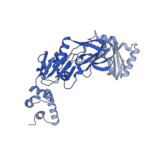 17402_8p49_B_v1-2
Uncharacterized Q8U0N8 protein from Pyrococcus furiosus