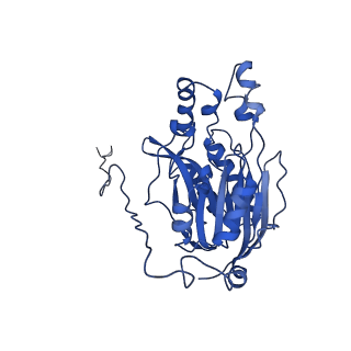 17409_8p4i_D_v1-0
Cyanide dihydratase from Bacillus pumilus C1
