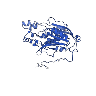 17409_8p4i_F_v1-0
Cyanide dihydratase from Bacillus pumilus C1