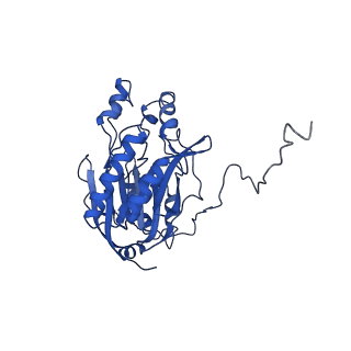17409_8p4i_G_v1-0
Cyanide dihydratase from Bacillus pumilus C1