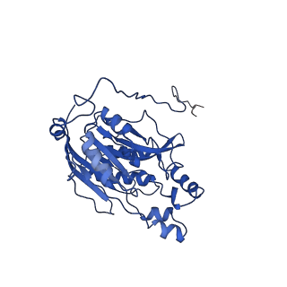 17409_8p4i_J_v1-0
Cyanide dihydratase from Bacillus pumilus C1