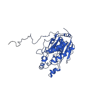 17409_8p4i_K_v1-0
Cyanide dihydratase from Bacillus pumilus C1