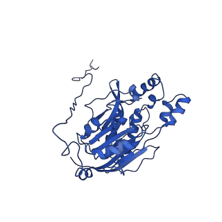 17409_8p4i_L_v1-0
Cyanide dihydratase from Bacillus pumilus C1