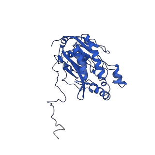 17409_8p4i_M_v1-0
Cyanide dihydratase from Bacillus pumilus C1