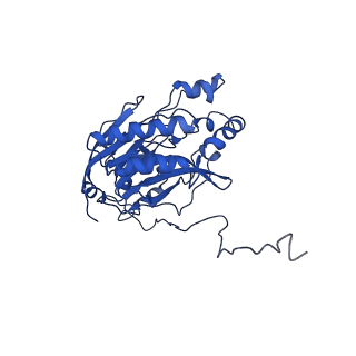 17409_8p4i_O_v1-0
Cyanide dihydratase from Bacillus pumilus C1