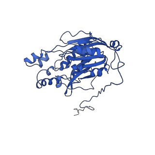17409_8p4i_P_v1-0
Cyanide dihydratase from Bacillus pumilus C1