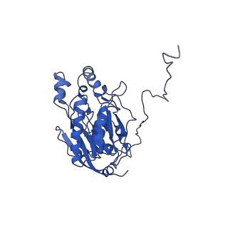 17409_8p4i_Q_v1-0
Cyanide dihydratase from Bacillus pumilus C1