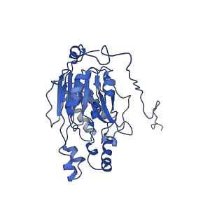 17409_8p4i_R_v1-0
Cyanide dihydratase from Bacillus pumilus C1