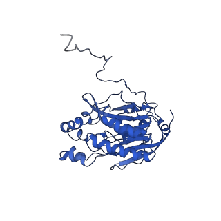 17409_8p4i_S_v1-0
Cyanide dihydratase from Bacillus pumilus C1