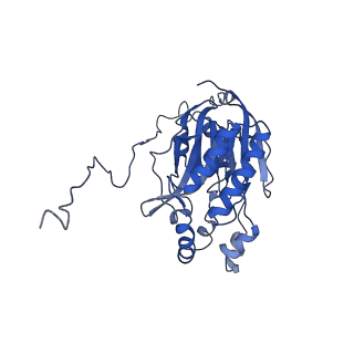 17409_8p4i_U_v1-0
Cyanide dihydratase from Bacillus pumilus C1