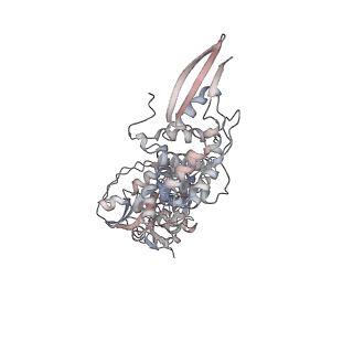 17410_8p4k_C_v1-1
Vaccinia Virus palisade layer A10 trimer