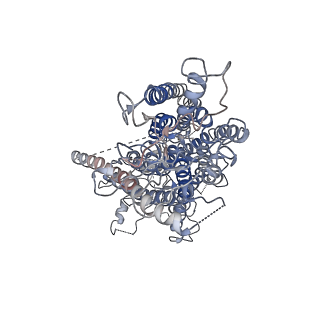 20244_6p46_A_v1-1
Cryo-EM structure of TMEM16F in digitonin with calcium bound