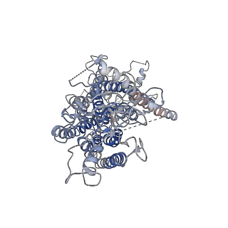 20244_6p46_B_v1-1
Cryo-EM structure of TMEM16F in digitonin with calcium bound