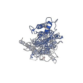 20245_6p47_A_v1-1
Cryo-EM structure of TMEM16F in digitonin without calcium