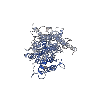 20245_6p47_B_v1-1
Cryo-EM structure of TMEM16F in digitonin without calcium
