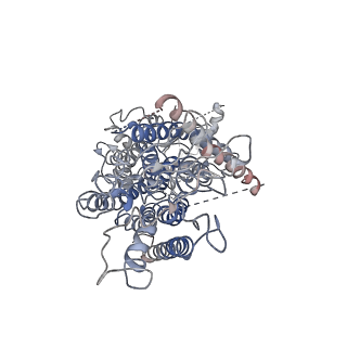 20246_6p48_B_v1-1
Cryo-EM structure of calcium-bound TMEM16F in nanodisc with supplement of PIP2 in Cl1
