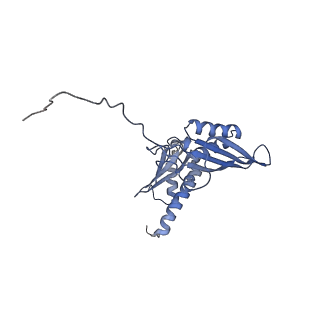 20249_6p4h_E_v1-3
Structure of a mammalian small ribosomal subunit in complex with the Israeli Acute Paralysis Virus IRES (Class 2)