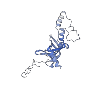 20249_6p4h_J_v1-3
Structure of a mammalian small ribosomal subunit in complex with the Israeli Acute Paralysis Virus IRES (Class 2)
