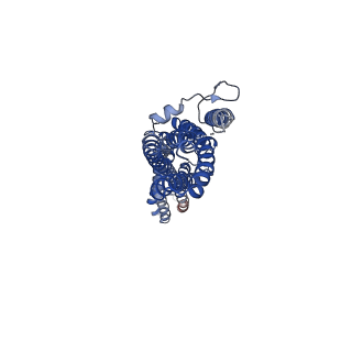 13198_7p5c_A_v1-2
Cryo-EM structure of human TTYH3 in Ca2+ and GDN