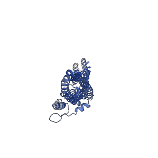 13198_7p5c_B_v1-2
Cryo-EM structure of human TTYH3 in Ca2+ and GDN