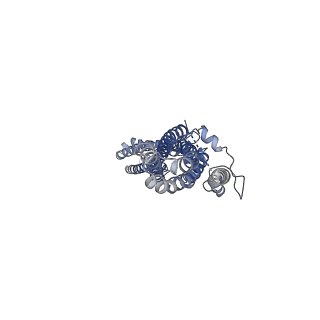 13200_7p5j_A_v1-2
Cryo-EM structure of human TTYH1 in GDN