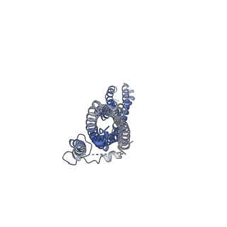 13201_7p5m_A_v1-2
Cryo-EM structure of human TTYH2 in lipid nanodiscs