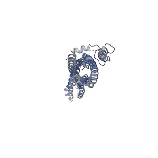 13201_7p5m_B_v1-2
Cryo-EM structure of human TTYH2 in lipid nanodiscs
