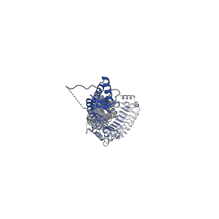 13202_7p5v_B_v1-1
Structure of homomeric LRRC8A Volume-Regulated Anion Channel in complex with synthetic nanobody Sb1