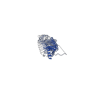 13202_7p5v_E_v1-1
Structure of homomeric LRRC8A Volume-Regulated Anion Channel in complex with synthetic nanobody Sb1