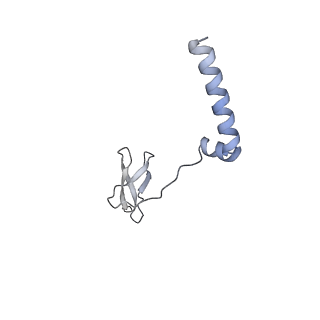 13205_7p5x_AJ_v1-0
Mycobacterial RNAP with transcriptional activator PafBC