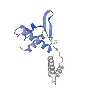 13205_7p5x_AY_v1-0
Mycobacterial RNAP with transcriptional activator PafBC
