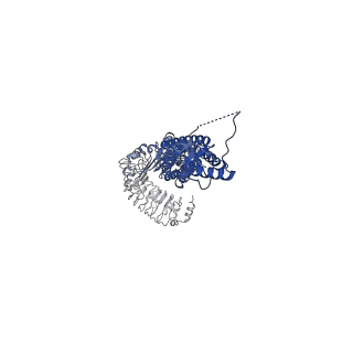 13208_7p5y_B_v1-1
Structure of homomeric LRRC8A Volume-Regulated Anion Channel in complex with synthetic nanobody Sb3