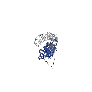 13208_7p5y_F_v1-1
Structure of homomeric LRRC8A Volume-Regulated Anion Channel in complex with synthetic nanobody Sb3
