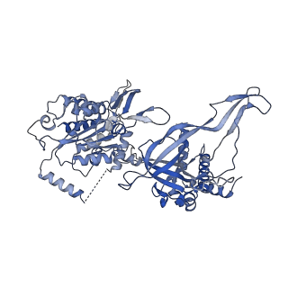 13211_7p5z_B_v1-0
Structure of a DNA-loaded MCM double hexamer engaged with the Dbf4-dependent kinase
