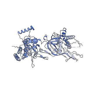 13211_7p5z_E_v1-0
Structure of a DNA-loaded MCM double hexamer engaged with the Dbf4-dependent kinase