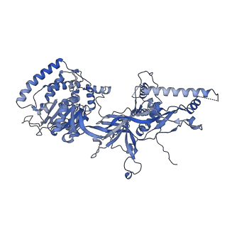 13211_7p5z_F_v1-0
Structure of a DNA-loaded MCM double hexamer engaged with the Dbf4-dependent kinase