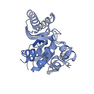 17445_8p53_A_v1-0
Cryo-EM structure of the c-di-GMP-free FleQ-FleN master regulator complex of P. aeruginosa