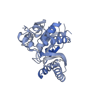 17445_8p53_B_v1-0
Cryo-EM structure of the c-di-GMP-free FleQ-FleN master regulator complex of P. aeruginosa