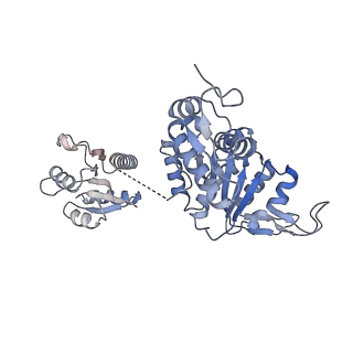 17445_8p53_C_v1-0
Cryo-EM structure of the c-di-GMP-free FleQ-FleN master regulator complex of P. aeruginosa