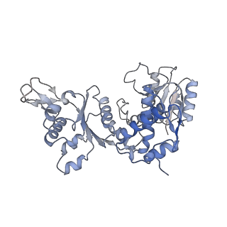 17445_8p53_E_v1-0
Cryo-EM structure of the c-di-GMP-free FleQ-FleN master regulator complex of P. aeruginosa