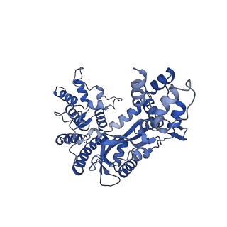 20254_6p5a_A_v1-3
Drosophila P element transposase strand transfer complex